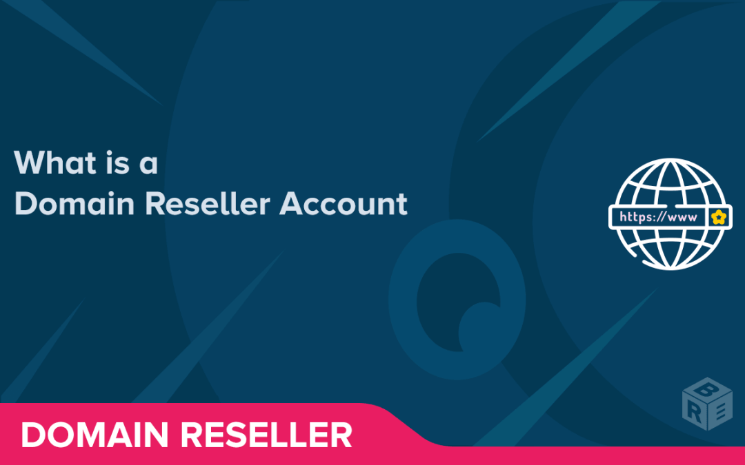 What is a Domain Reseller Account